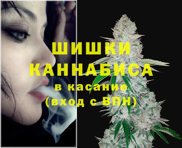 соль ск Алексин