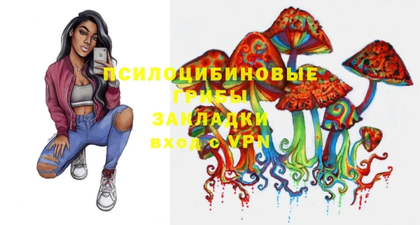 соль ск Алексин