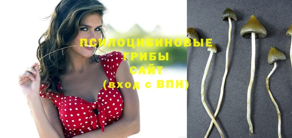 дмт Алзамай
