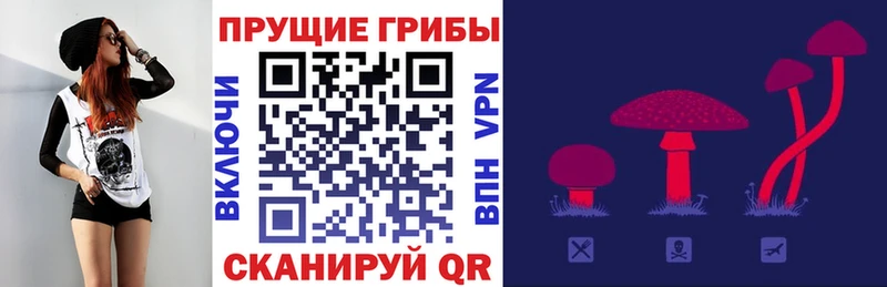 Галлюциногенные грибы прущие грибы  Елец 